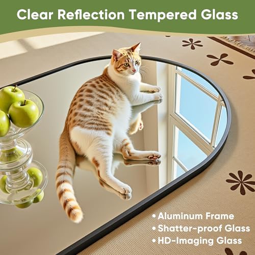 Arched Full Length Mirror 58 x - Arch Mirror Leaning 评论和价格
